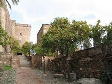 Spanien Andalusien Málaga Alcazaba 002.JPG